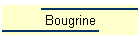 Bougrine