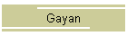 Gayan